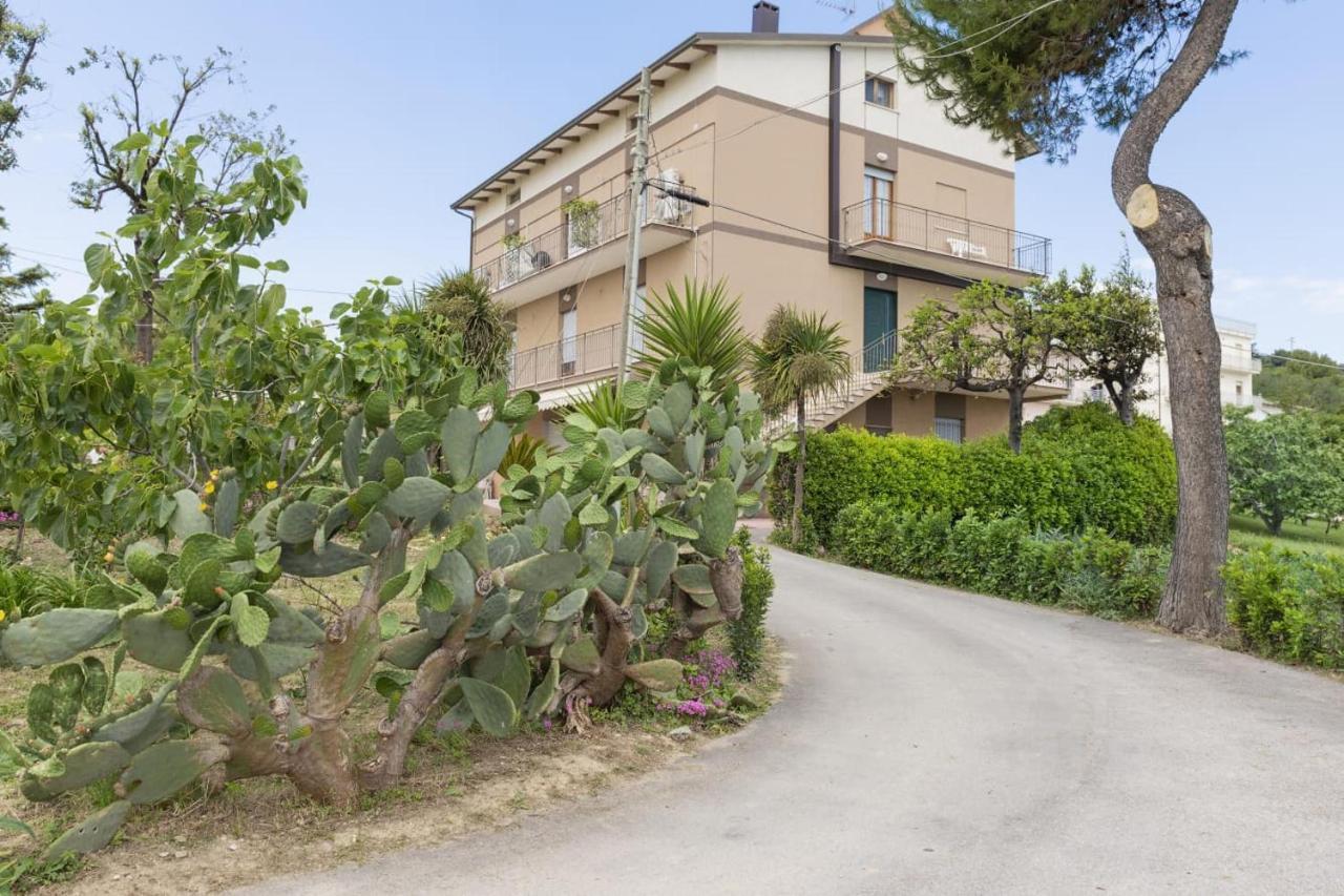 B&B Alba Sul Mare Guest House Massignano Exterior foto